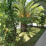 托里吉尔公寓酒店 公寓